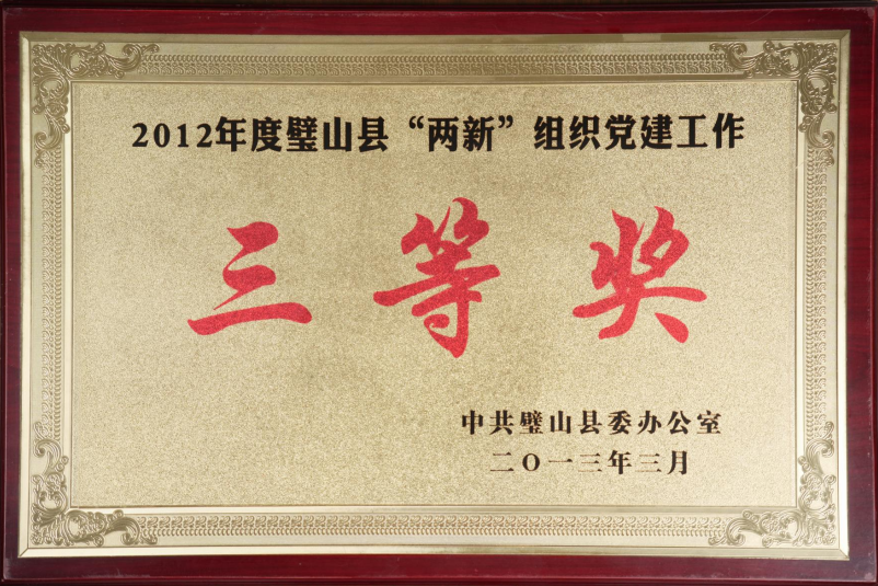 “兩新”三等獎(jiǎng)